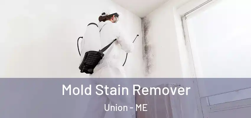Mold Stain Remover Union - ME