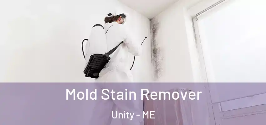Mold Stain Remover Unity - ME