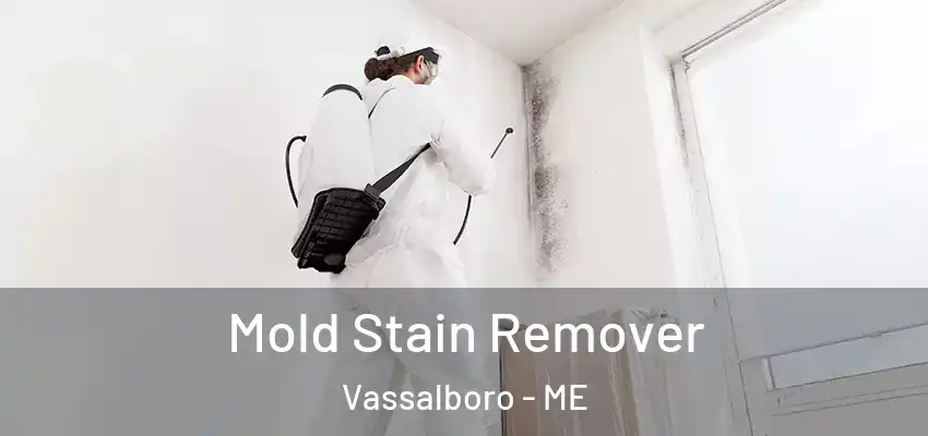  Mold Stain Remover Vassalboro - ME