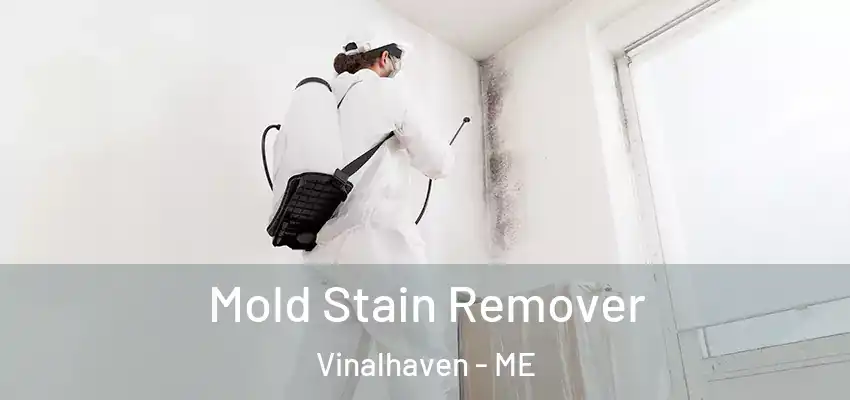 Mold Stain Remover Vinalhaven - ME