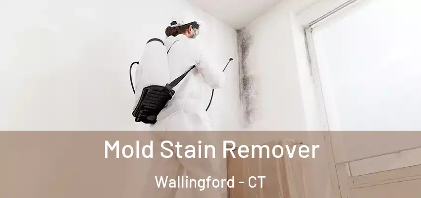 Mold Stain Remover Wallingford - CT