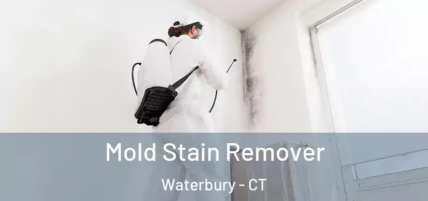 Mold Stain Remover Waterbury - CT