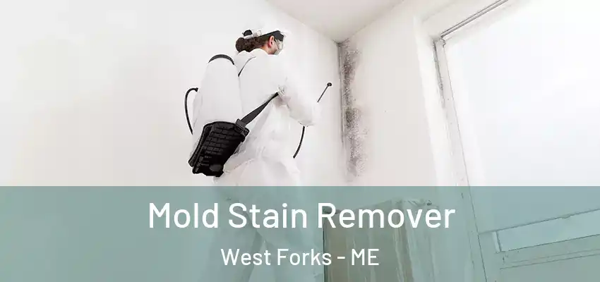 Mold Stain Remover West Forks - ME