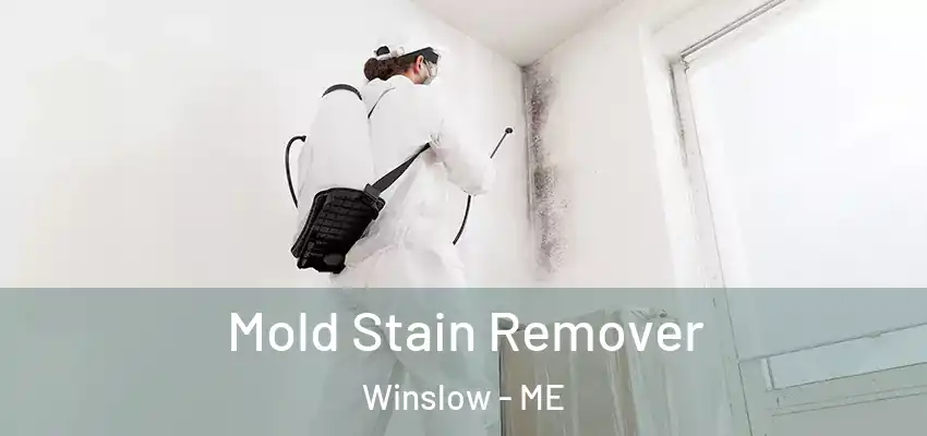  Mold Stain Remover Winslow - ME