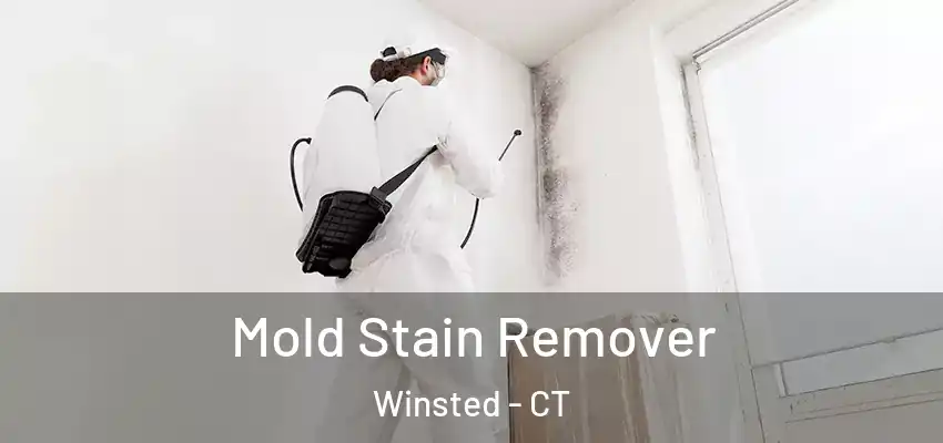  Mold Stain Remover Winsted - CT