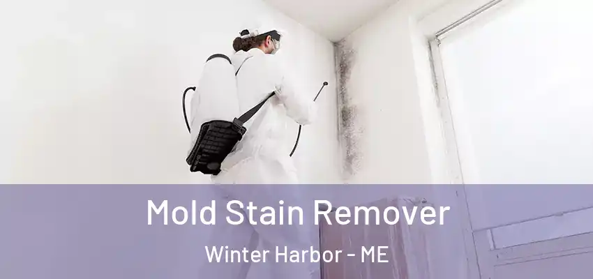  Mold Stain Remover Winter Harbor - ME