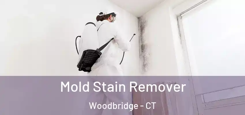  Mold Stain Remover Woodbridge - CT