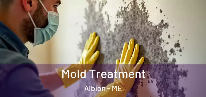 Mold Treatment Albion - ME