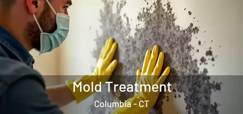 Mold Treatment Columbia - CT