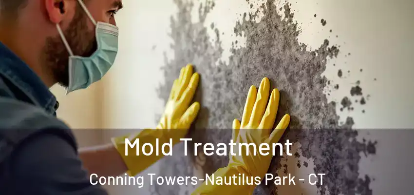 Mold Treatment Conning Towers-Nautilus Park - CT