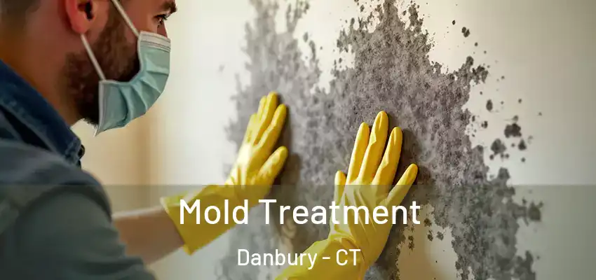 Mold Treatment Danbury - CT