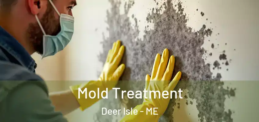  Mold Treatment Deer Isle - ME