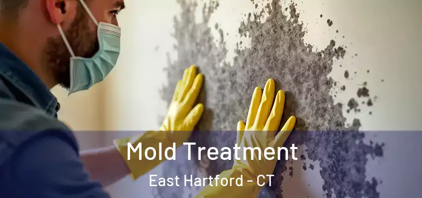 Mold Treatment East Hartford - CT