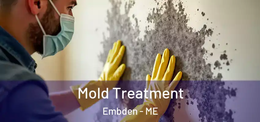 Mold Treatment Embden - ME