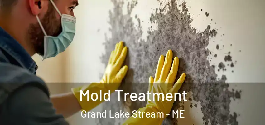  Mold Treatment Grand Lake Stream - ME