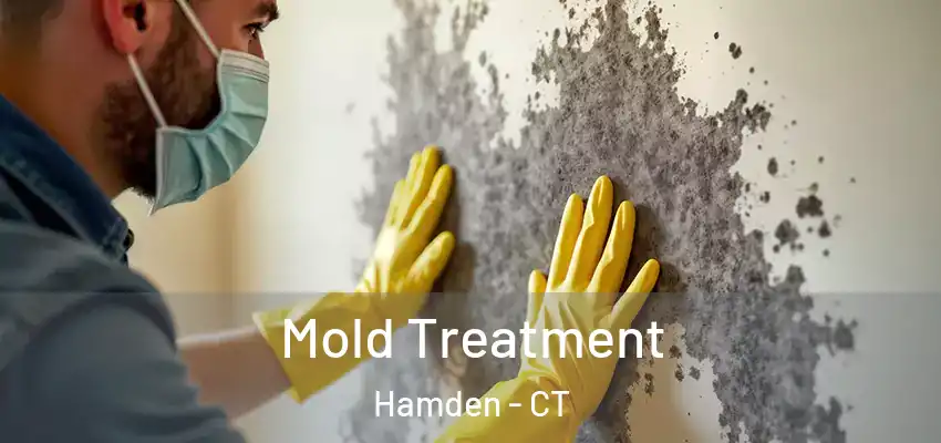 Mold Treatment Hamden - CT