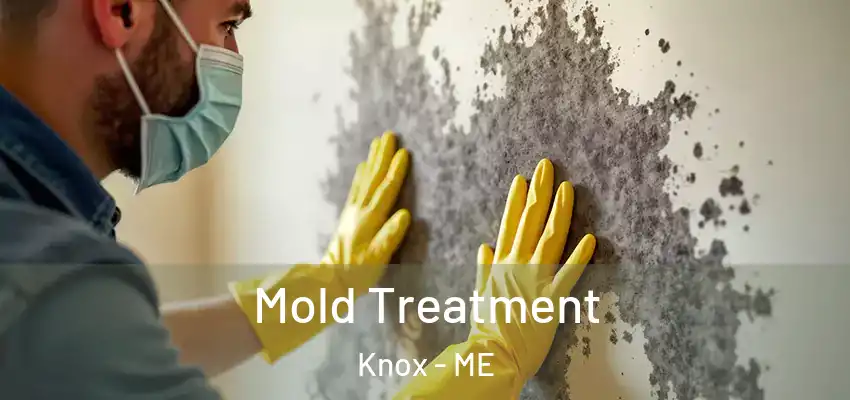 Mold Treatment Knox - ME