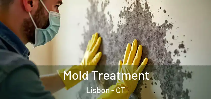 Mold Treatment Lisbon - CT