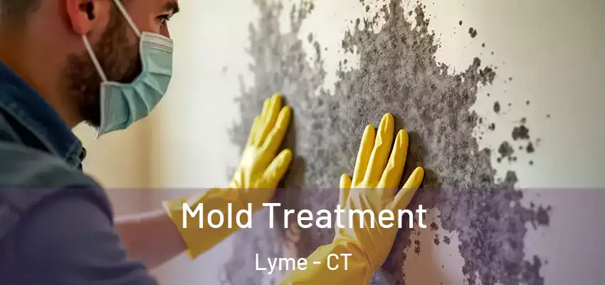 Mold Treatment Lyme - CT