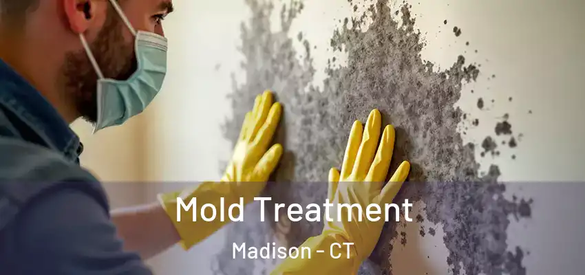 Mold Treatment Madison - CT