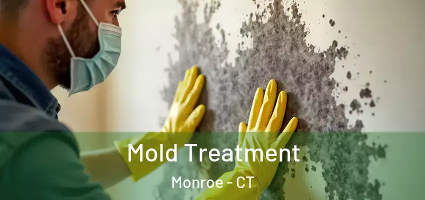 Mold Treatment Monroe - CT