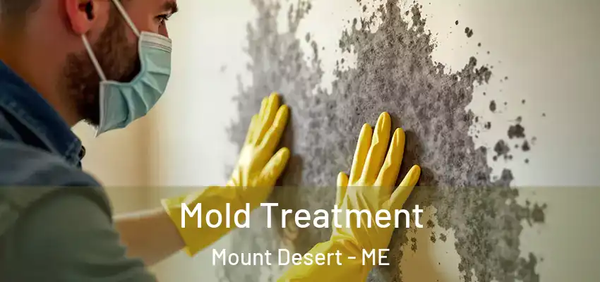  Mold Treatment Mount Desert - ME
