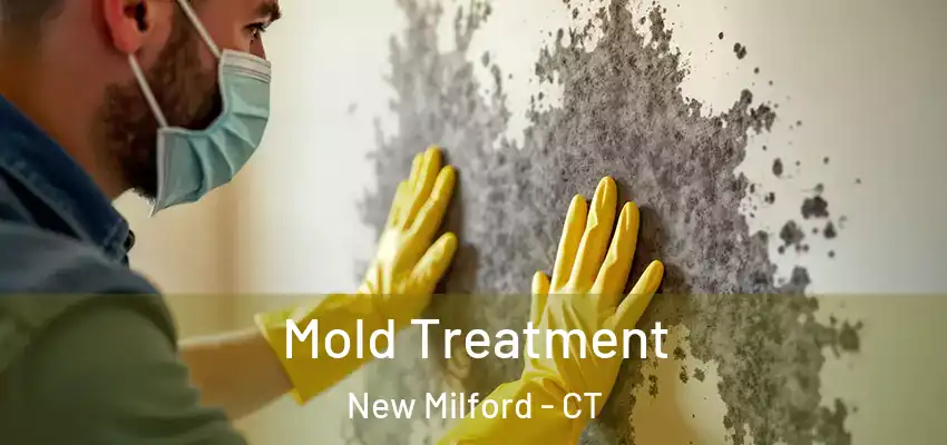  Mold Treatment New Milford - CT