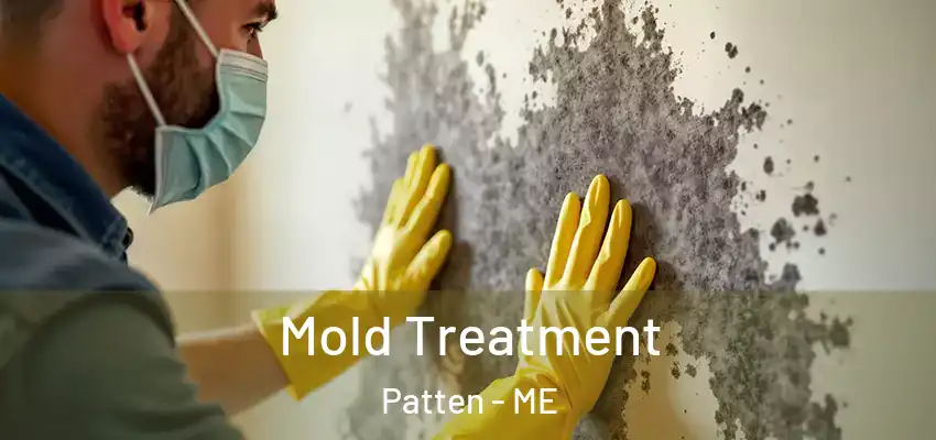 Mold Treatment Patten - ME