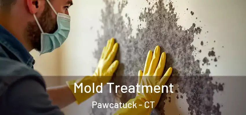  Mold Treatment Pawcatuck - CT
