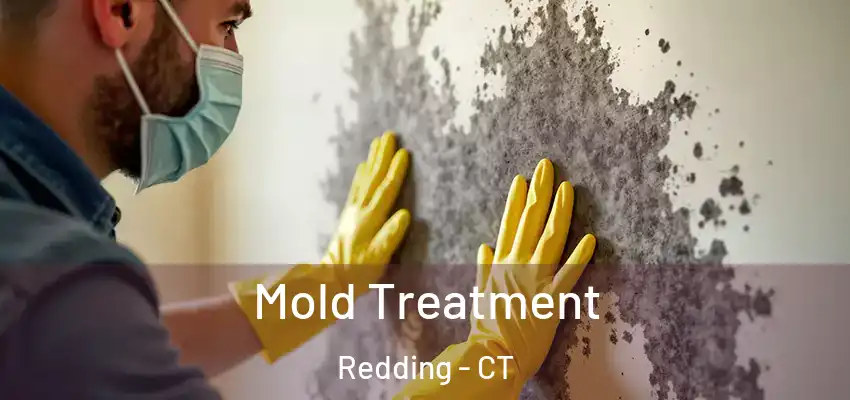Mold Treatment Redding - CT