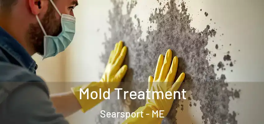 Mold Treatment Searsport - ME