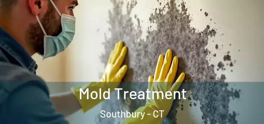  Mold Treatment Southbury - CT