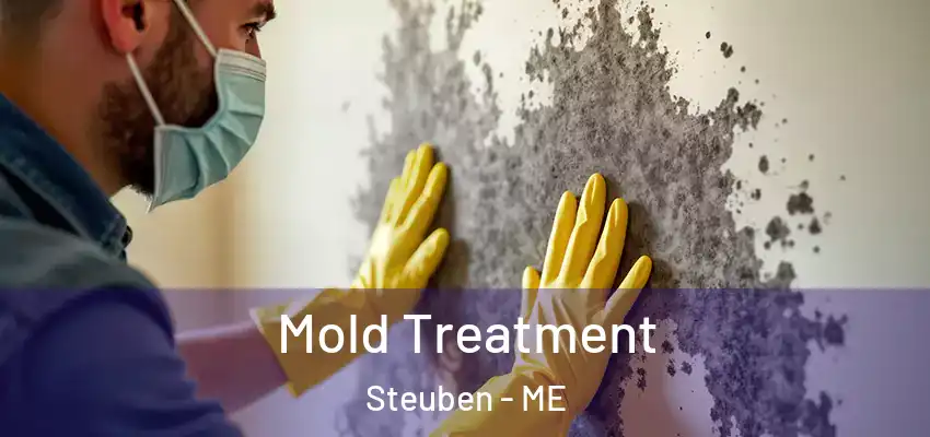 Mold Treatment Steuben - ME
