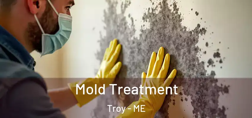 Mold Treatment Troy - ME