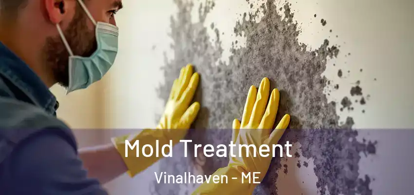 Mold Treatment Vinalhaven - ME