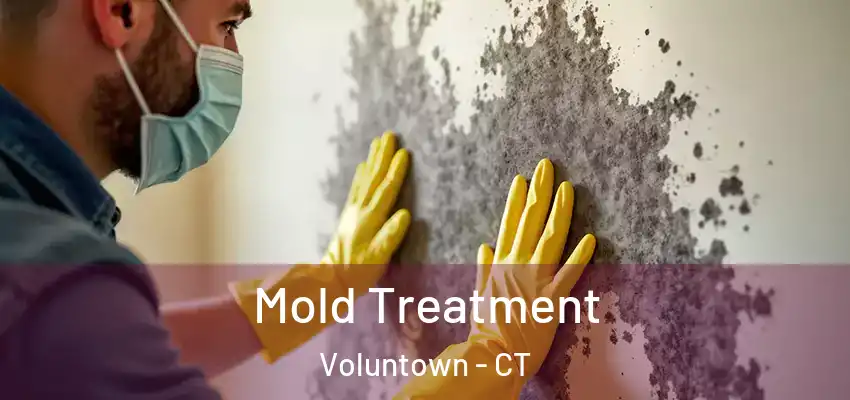  Mold Treatment Voluntown - CT