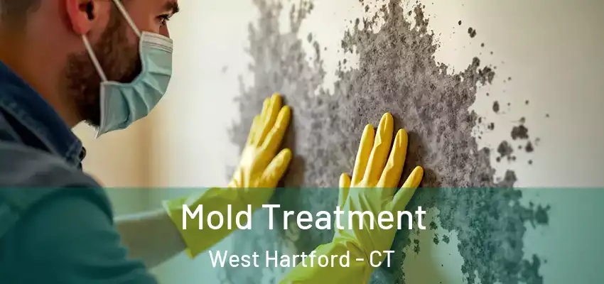 Mold Treatment West Hartford - CT