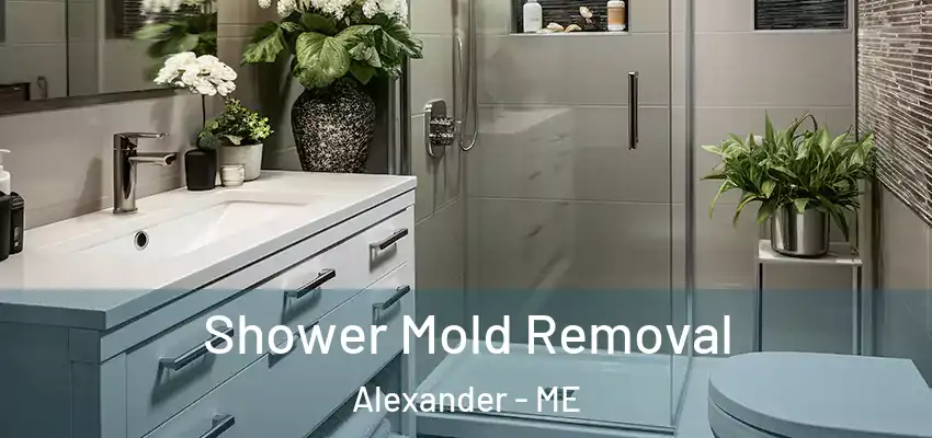 Shower Mold Removal Alexander - ME