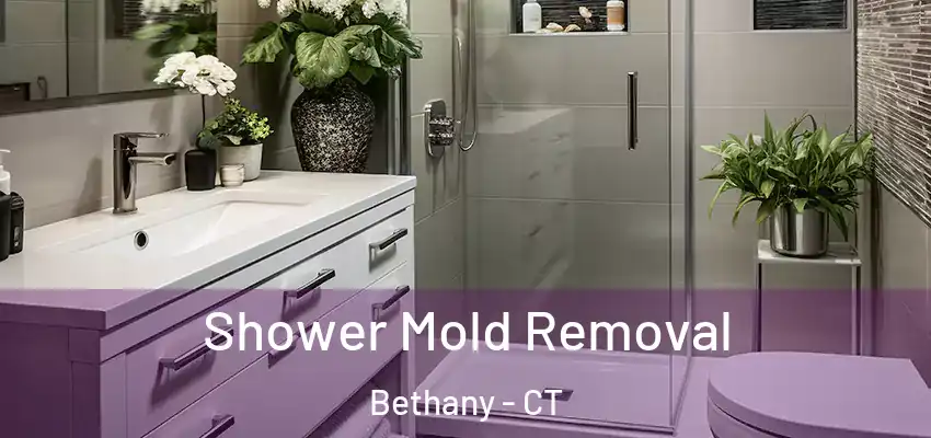 Shower Mold Removal Bethany - CT