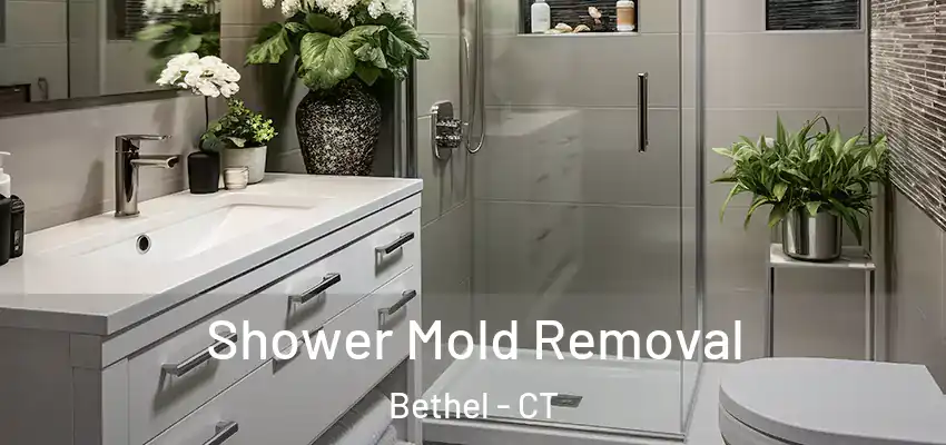  Shower Mold Removal Bethel - CT
