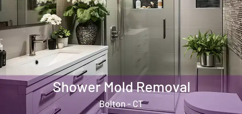 Shower Mold Removal Bolton - CT