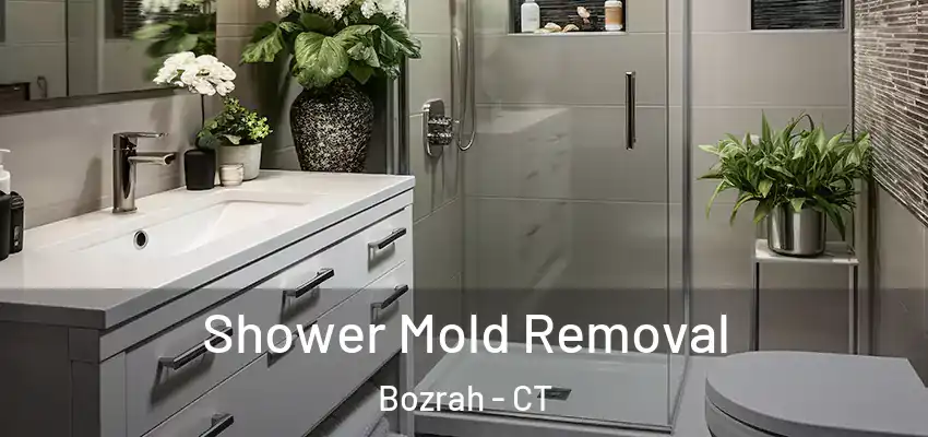 Shower Mold Removal Bozrah - CT