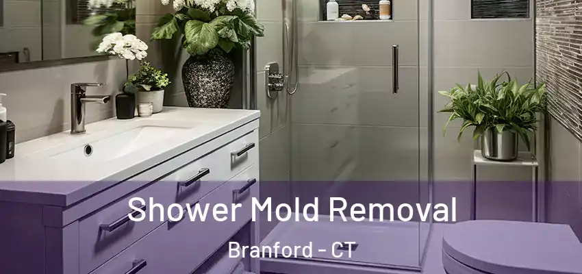Shower Mold Removal Branford - CT