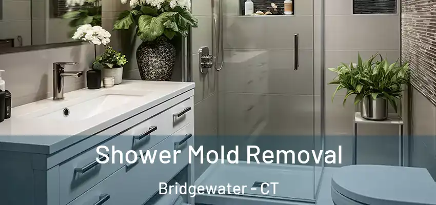 Shower Mold Removal Bridgewater - CT
