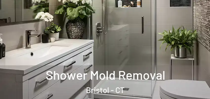  Shower Mold Removal Bristol - CT