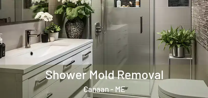  Shower Mold Removal Canaan - ME