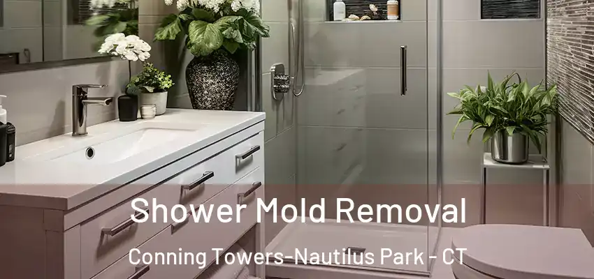 Shower Mold Removal Conning Towers-Nautilus Park - CT