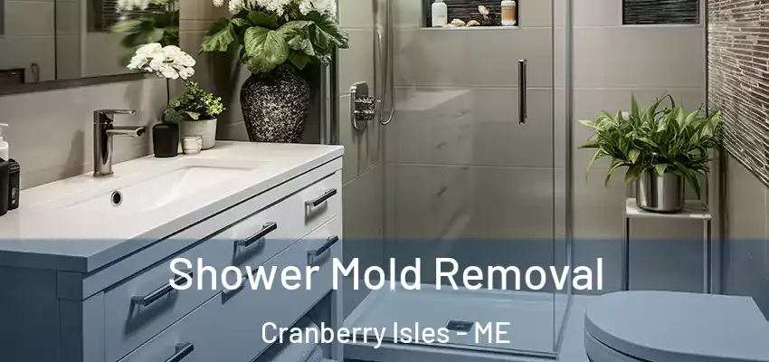  Shower Mold Removal Cranberry Isles - ME