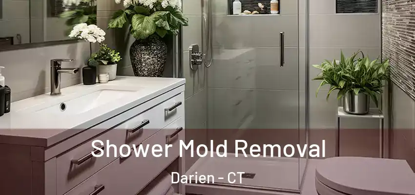  Shower Mold Removal Darien - CT