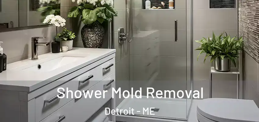  Shower Mold Removal Detroit - ME